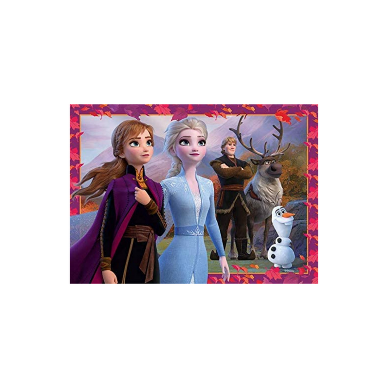 Disney: Frozen 2 (Puzzle Pack)